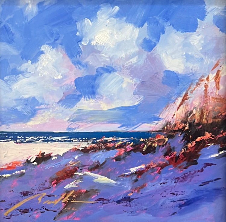 Ray Brilli