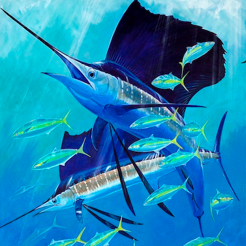 Guy Harvey