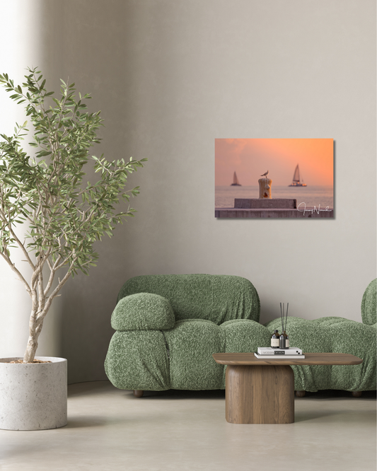 Best Seat in the House