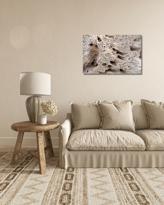 Aquatic Architecture