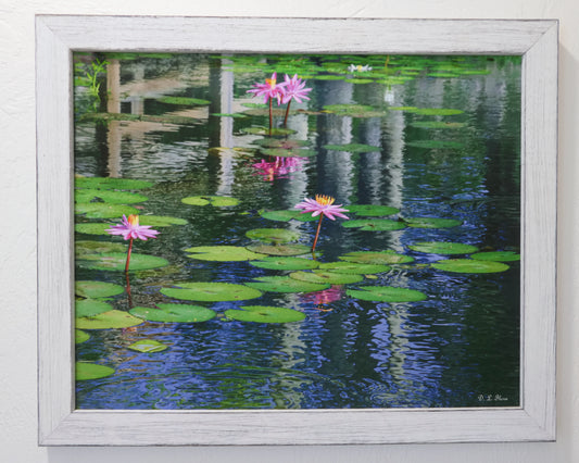 Reflecting on Giverny