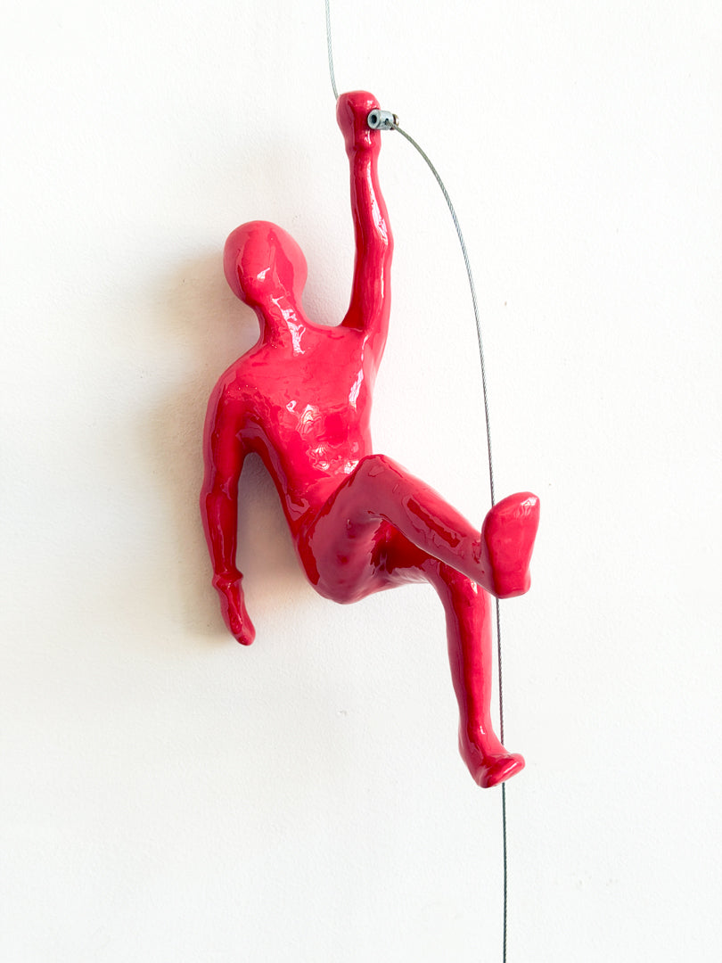 Coral Pink Climber