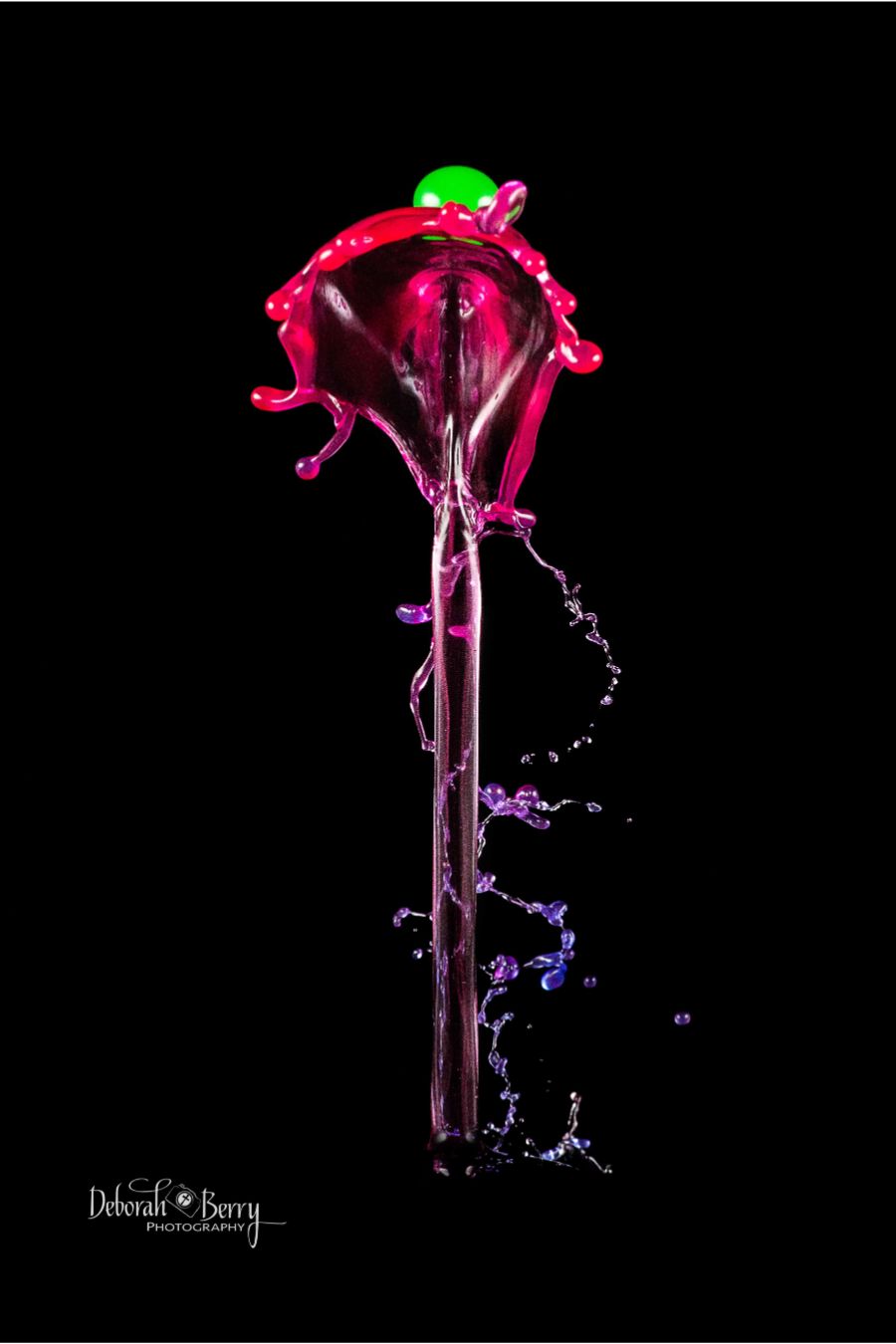 Anthurium