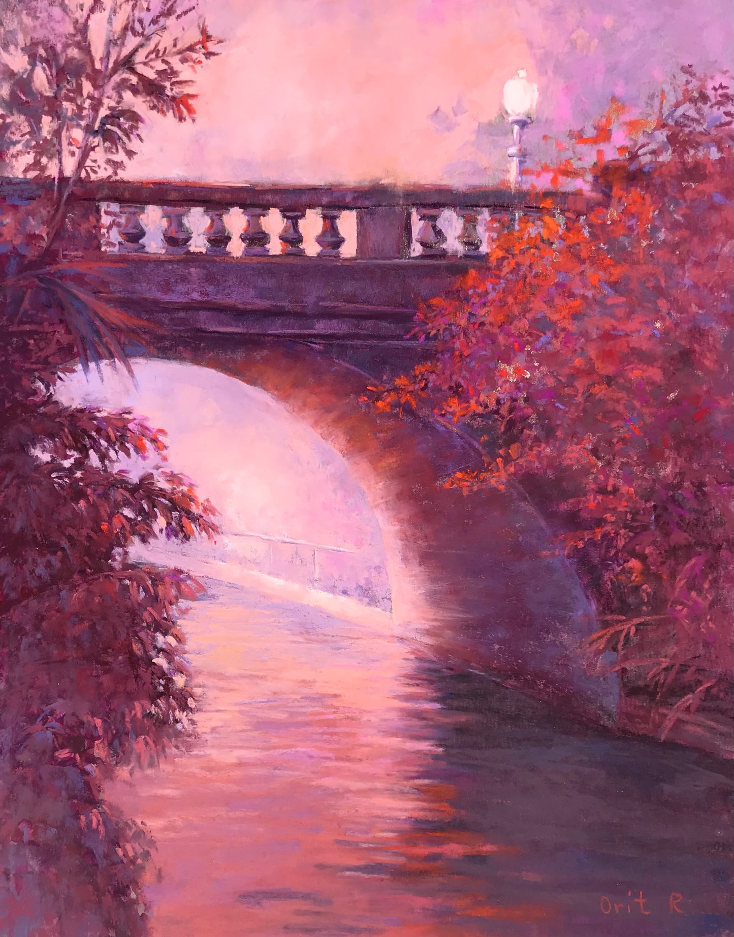 Evening Bouganvaillea