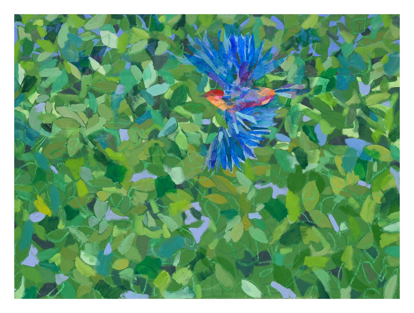 Formas de Volar