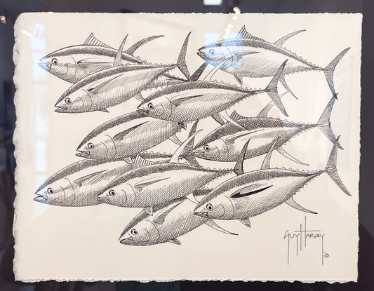 Yellowfin Tuna School