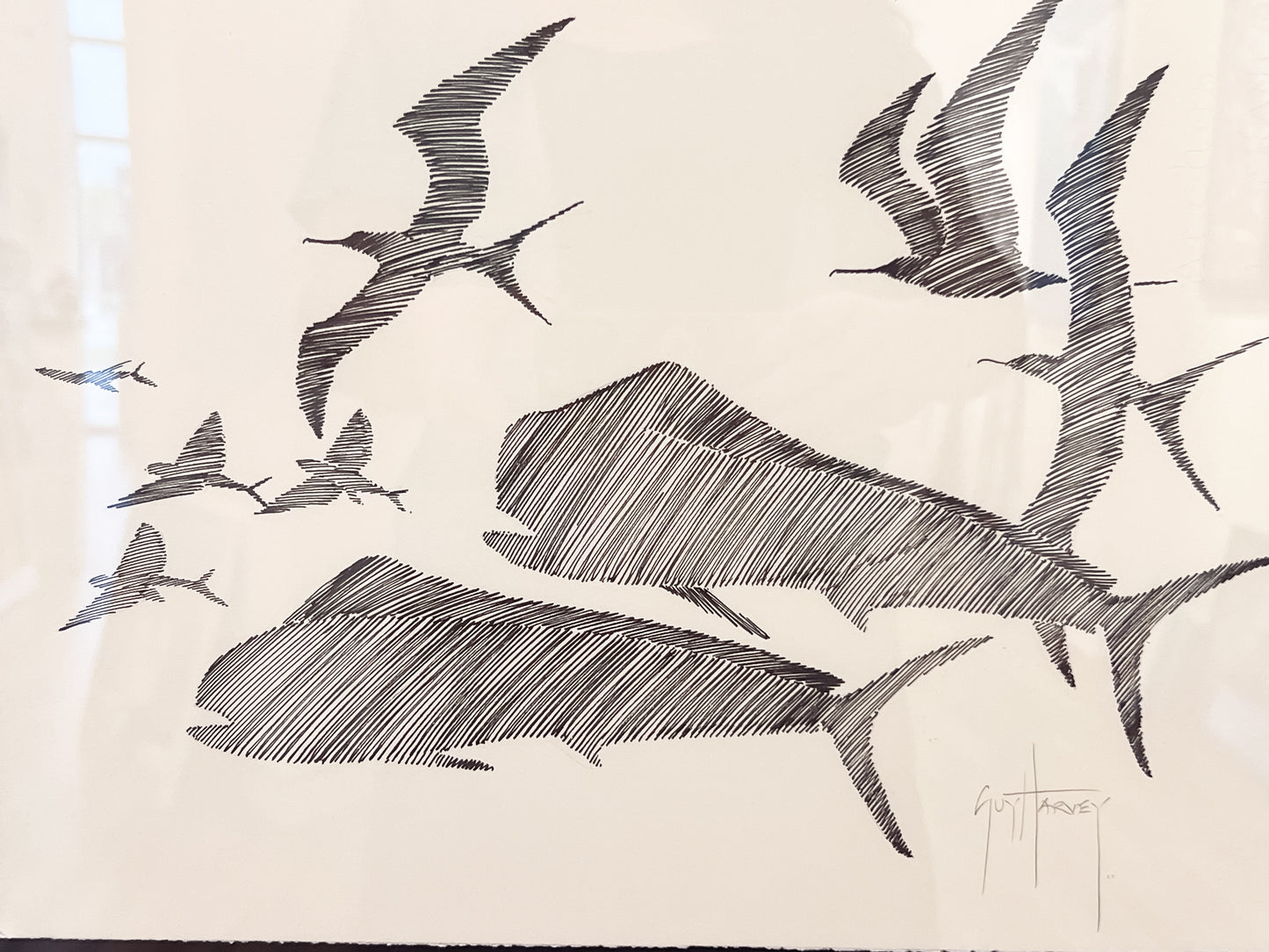 Dolphin with Flying Fish