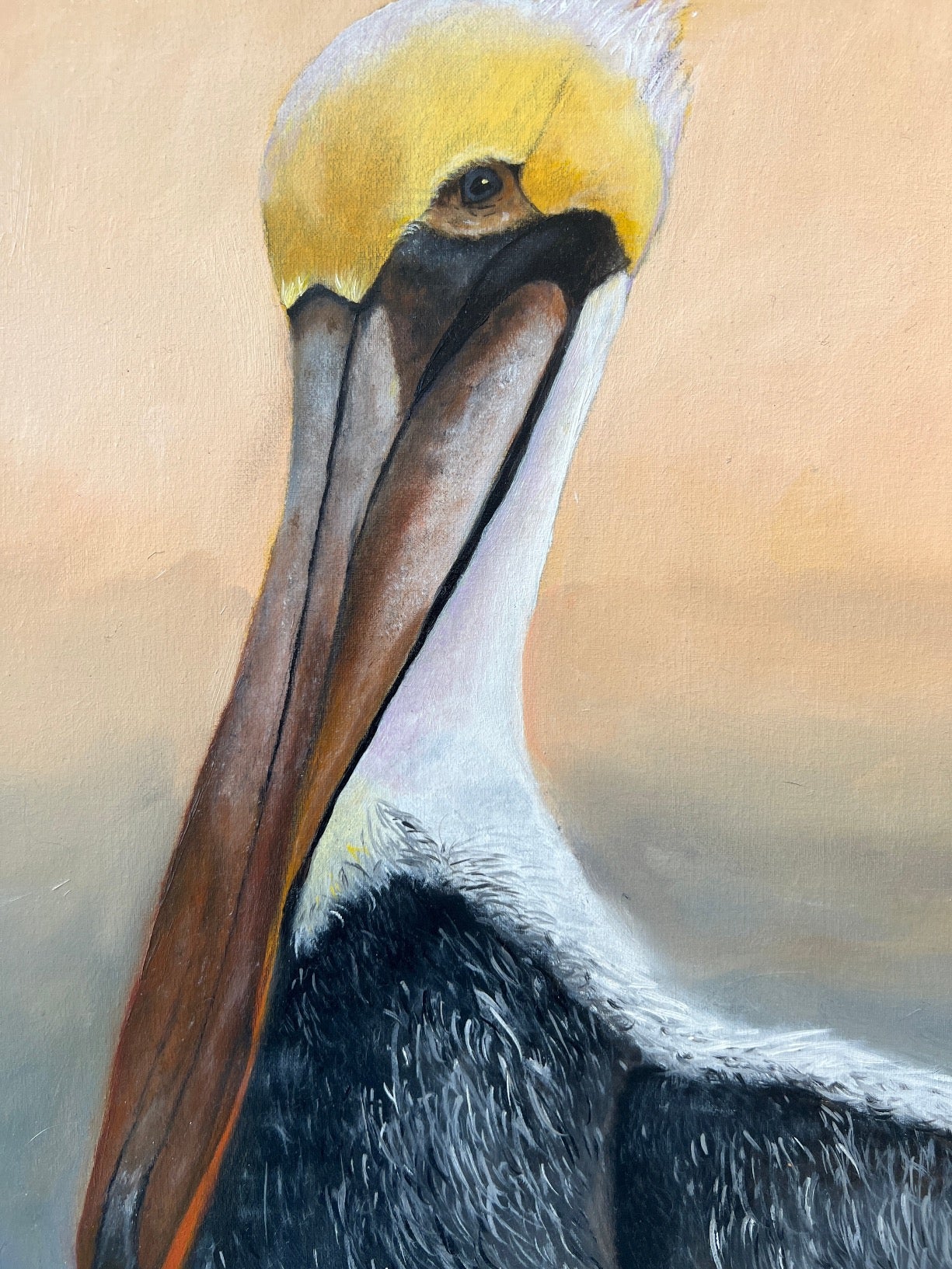 Pete the Pelican