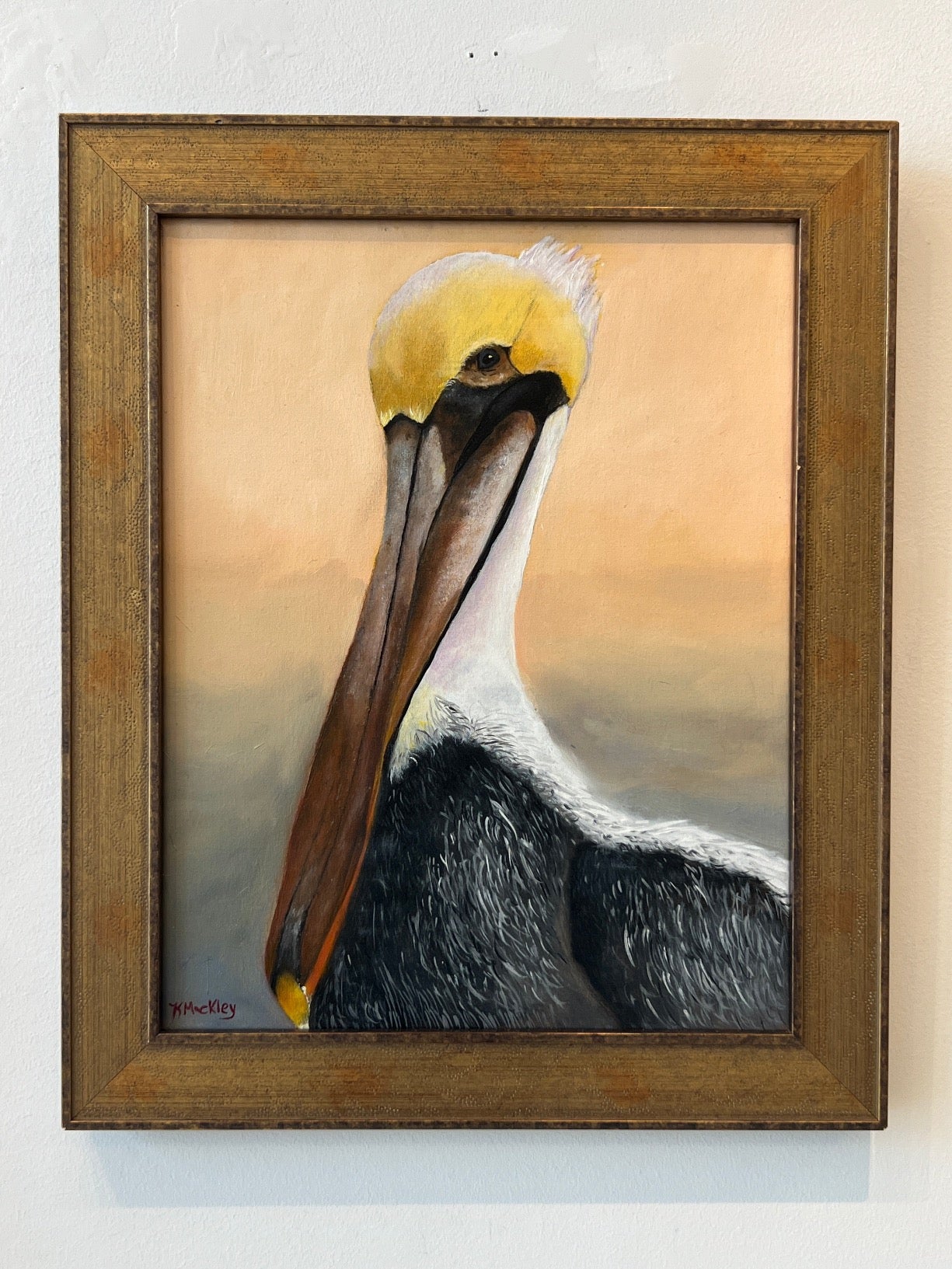 Pete the Pelican