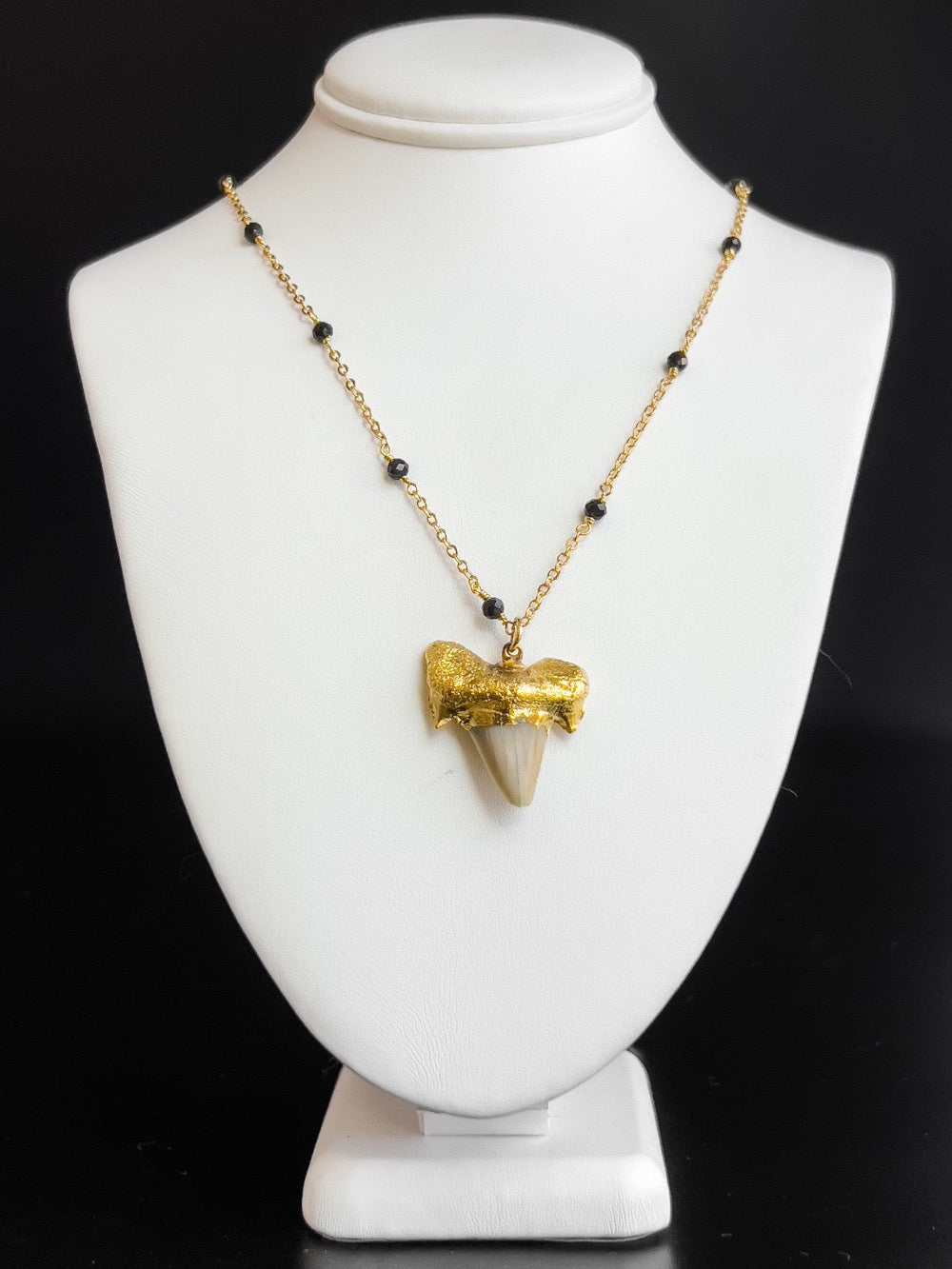 Brown Shark Tooth with Black Spinels