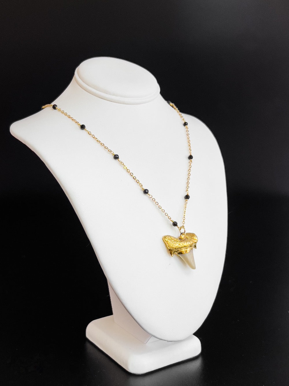 Brown Shark Tooth with Black Spinels