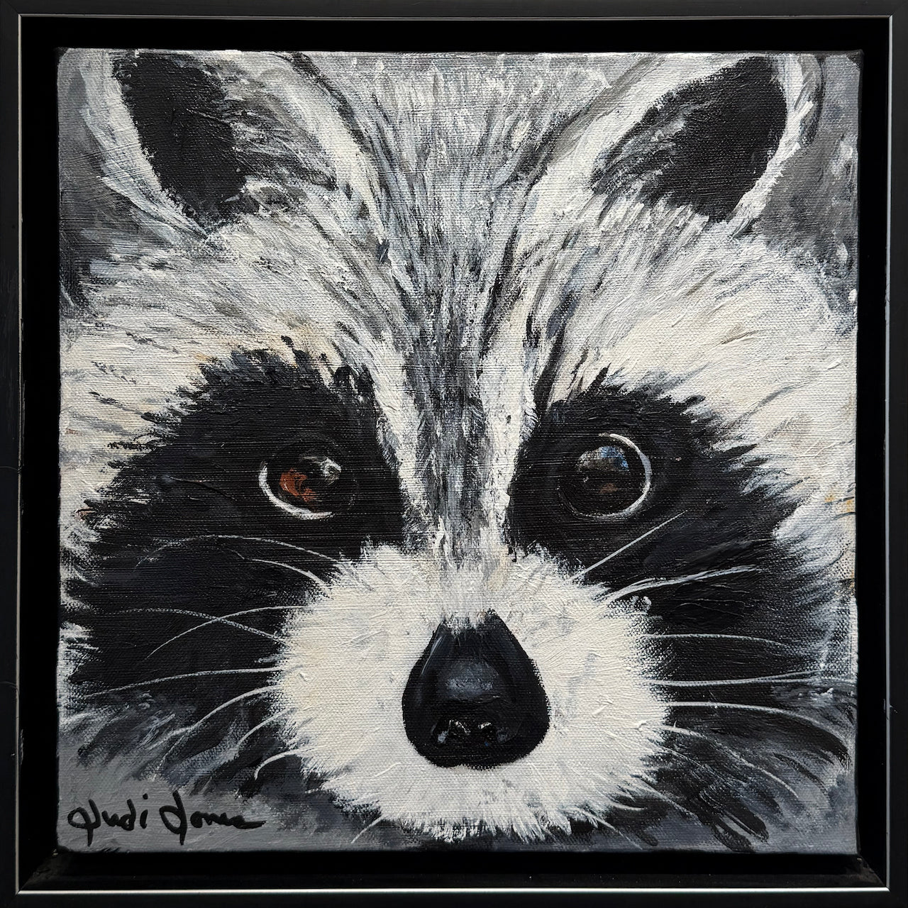 Rocky Raccoons