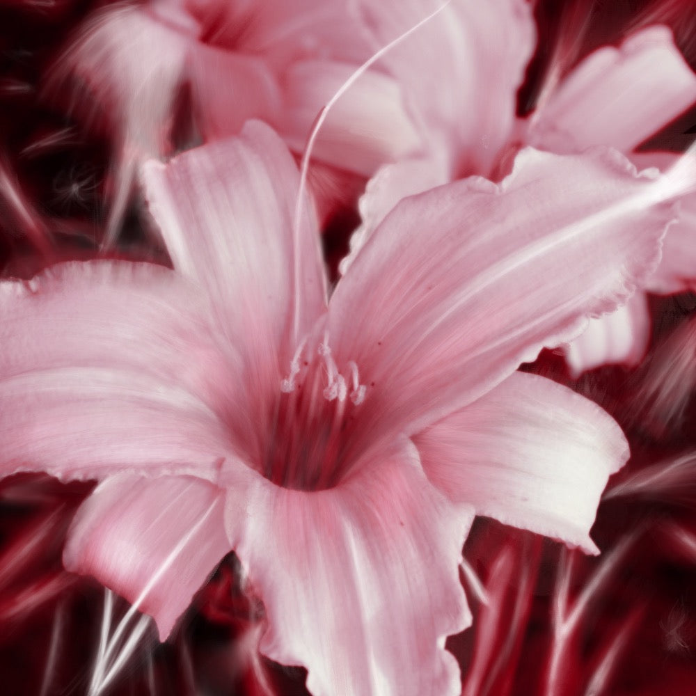 Square Full Bleed Notecards (Natasha Fenga)