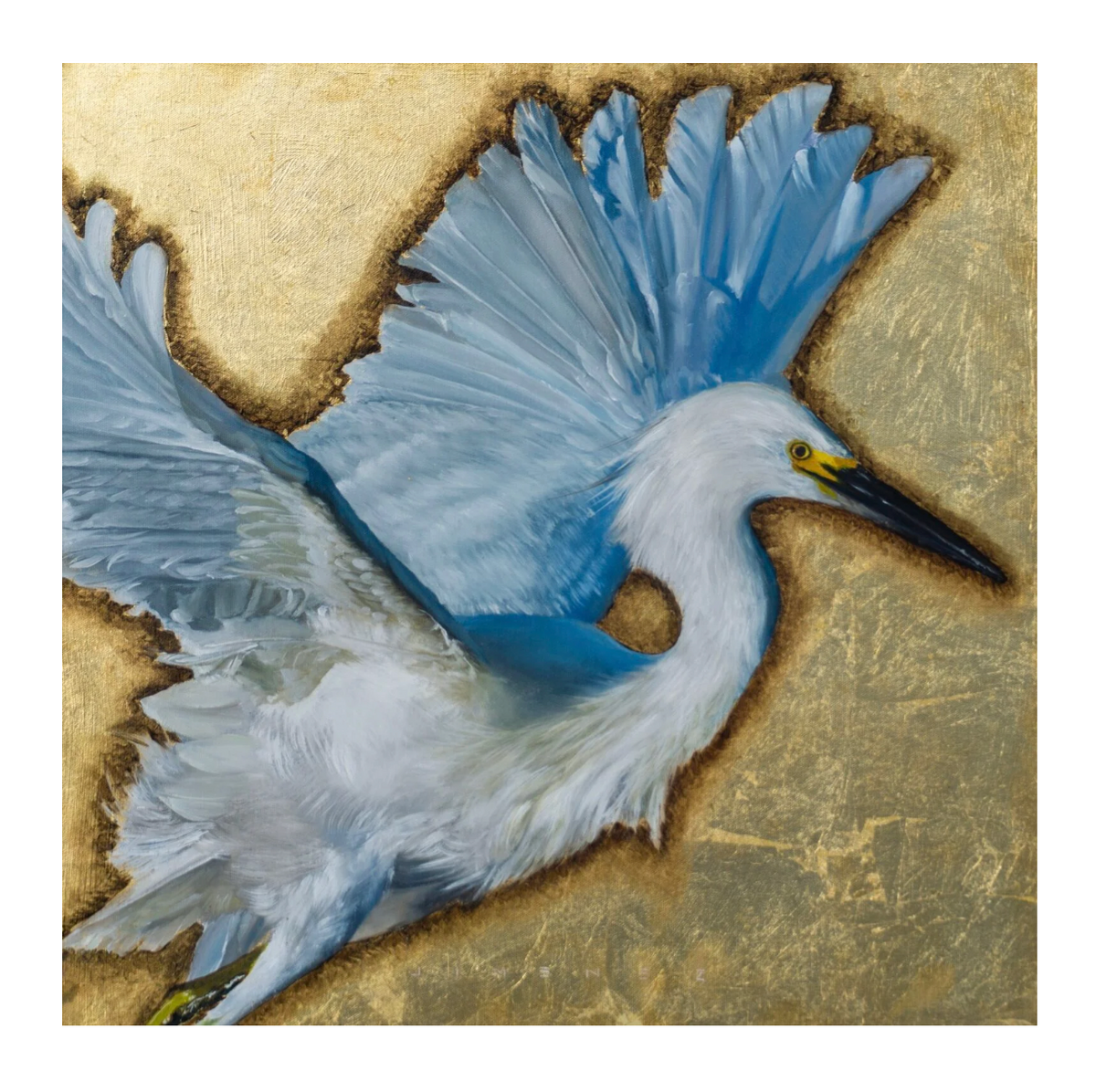 Snowy Egret (Paper Print)