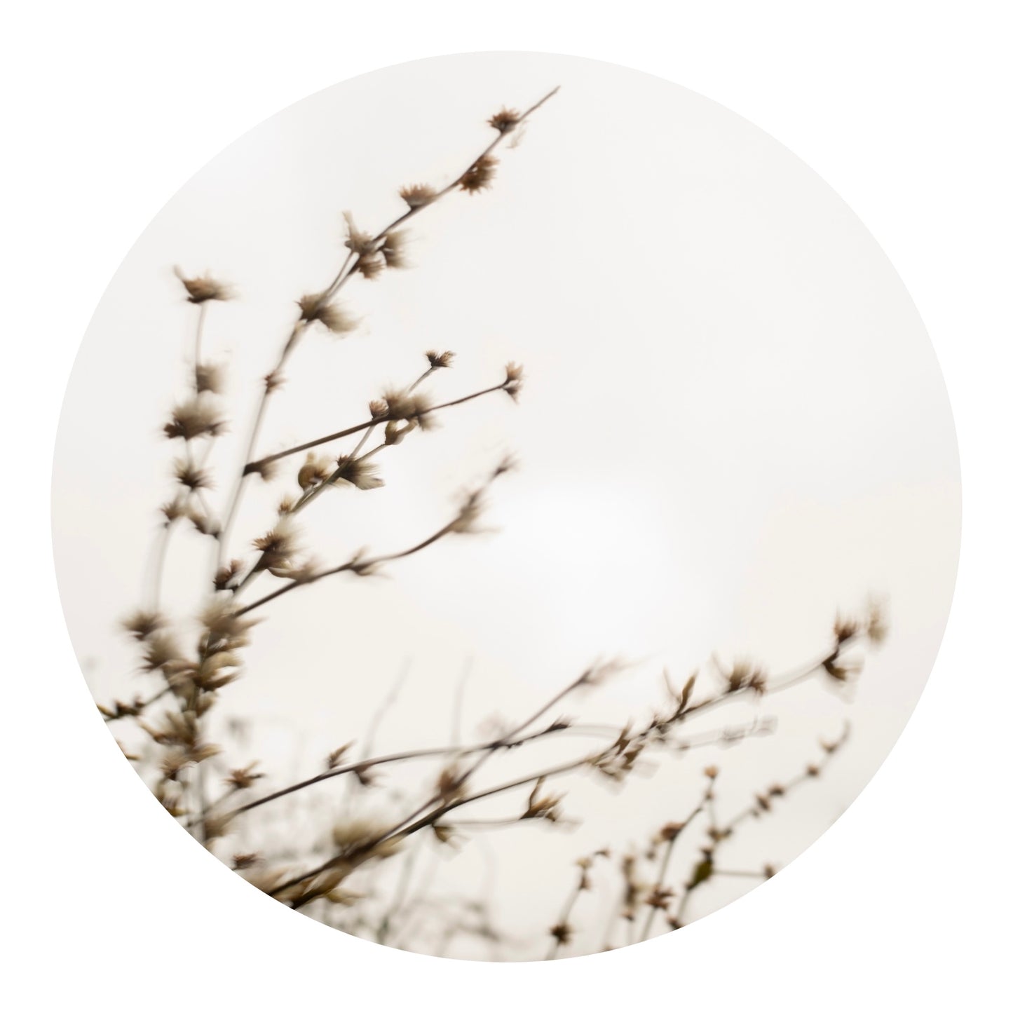 Unstill