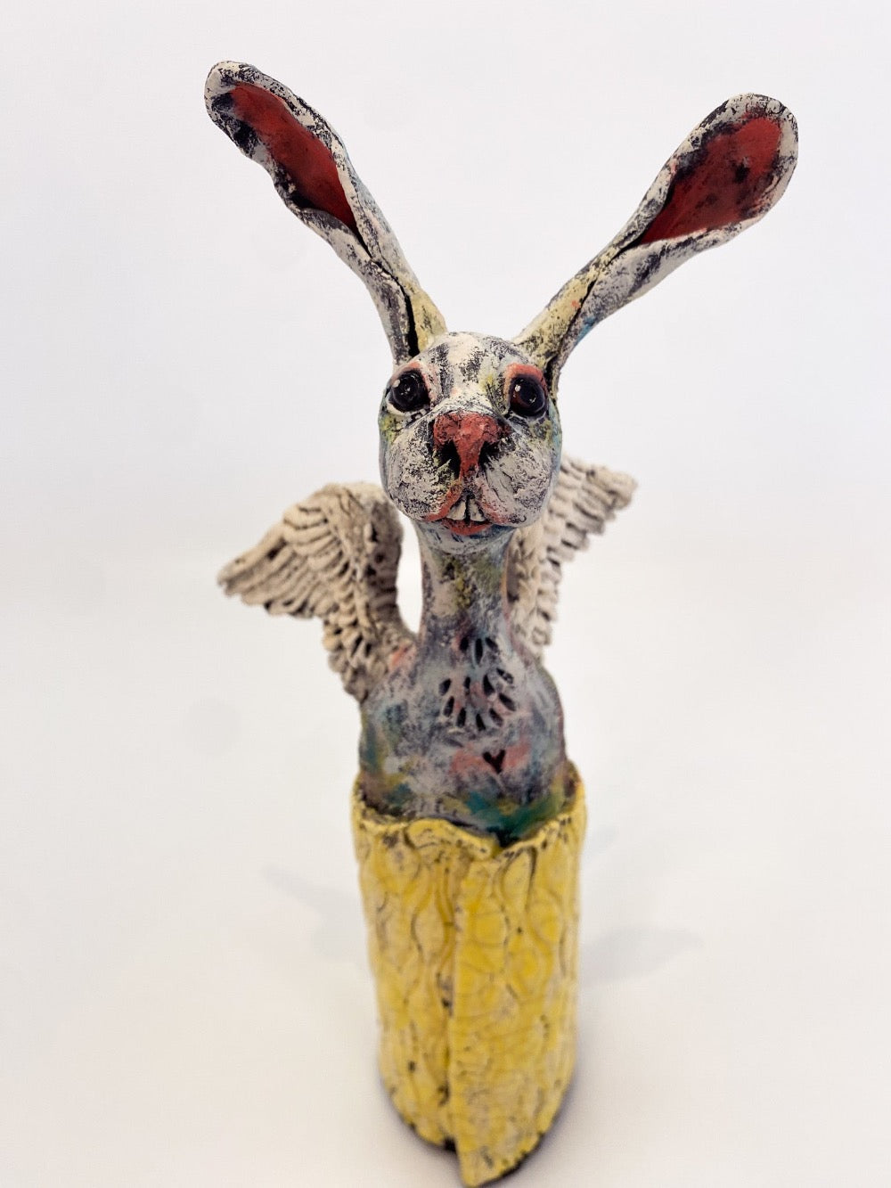 Yellow Angel Rabbit