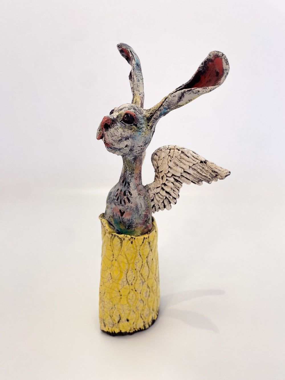 Yellow Angel Rabbit