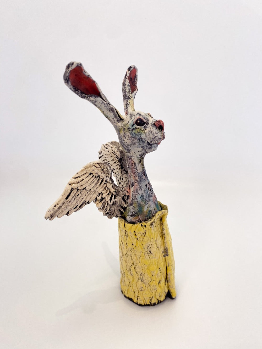 Yellow Angel Rabbit