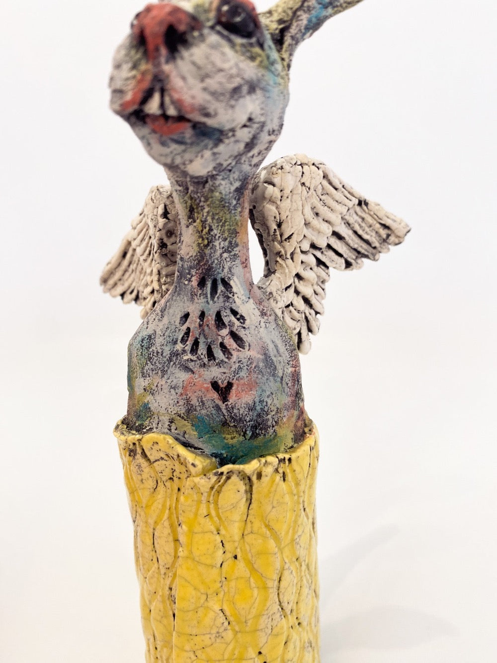 Yellow Angel Rabbit