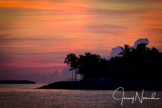 Pastels in Paradise