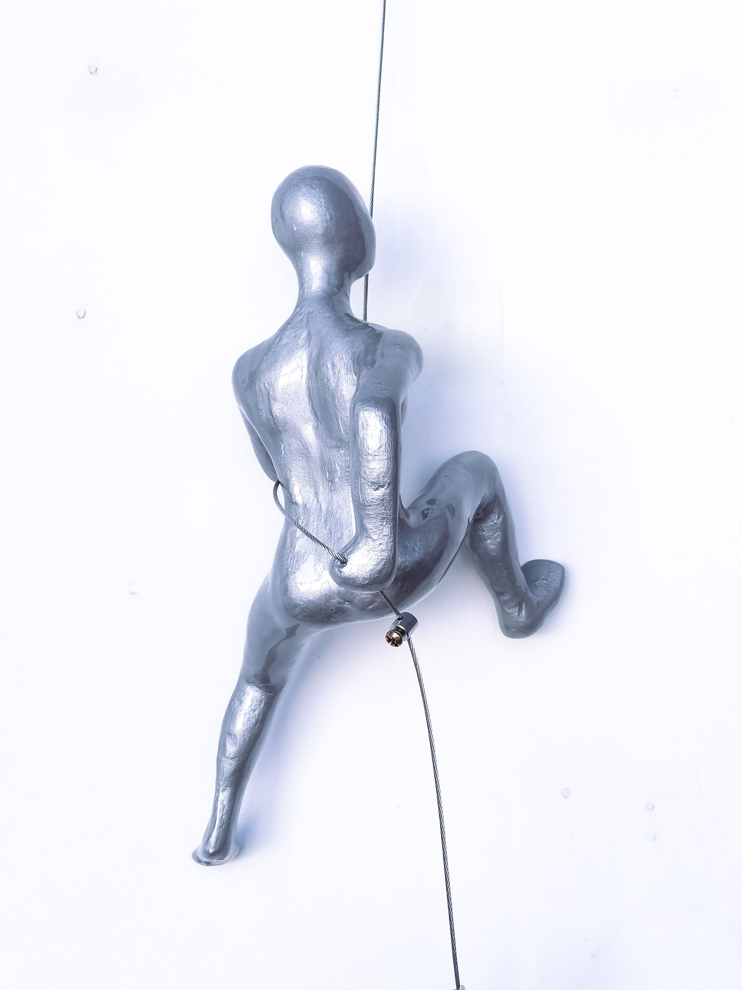 Silver Climber I