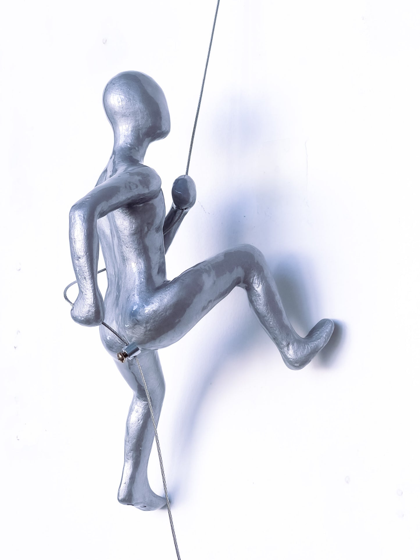 Silver Climber I