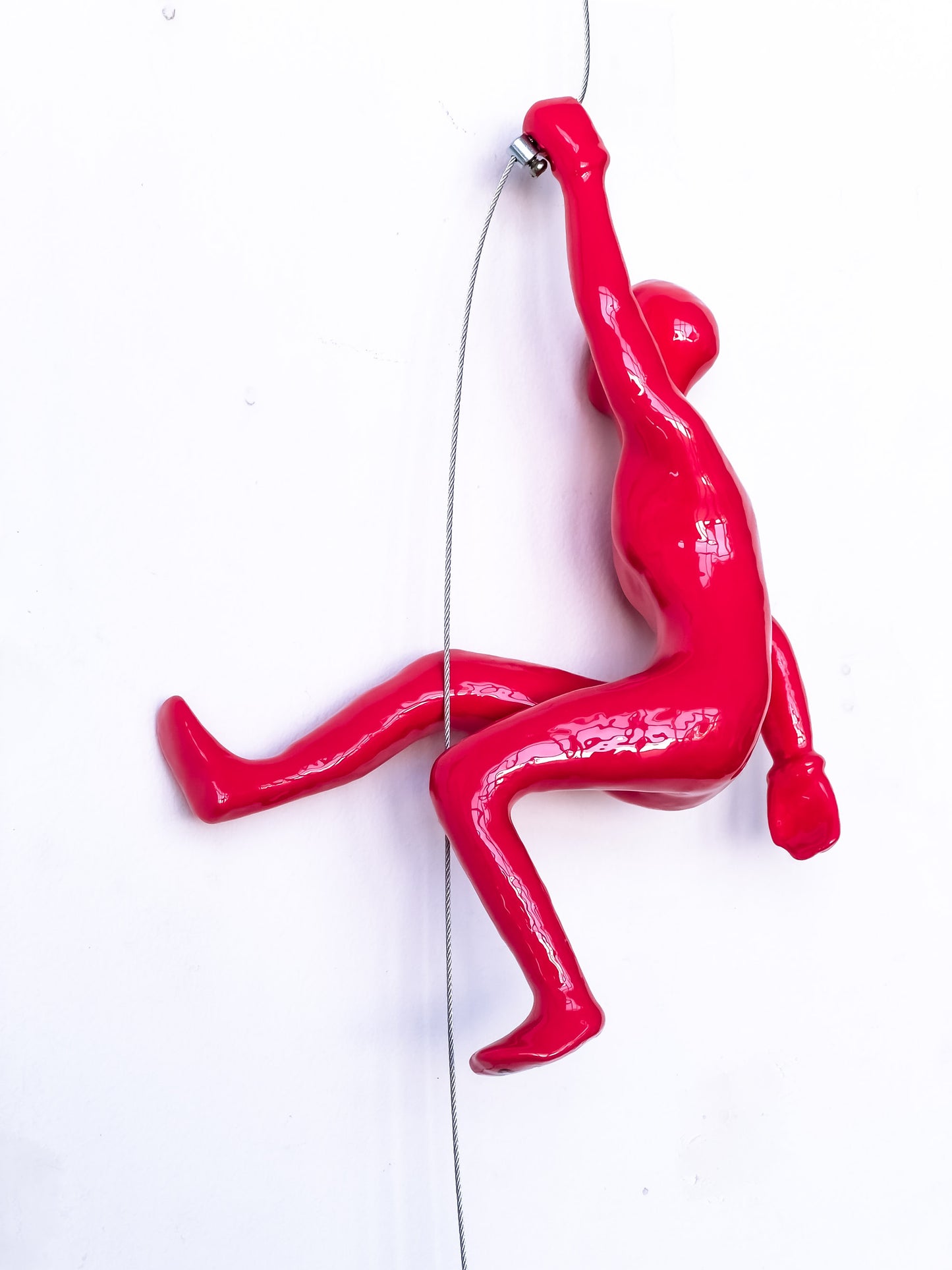 Salmon Climber
