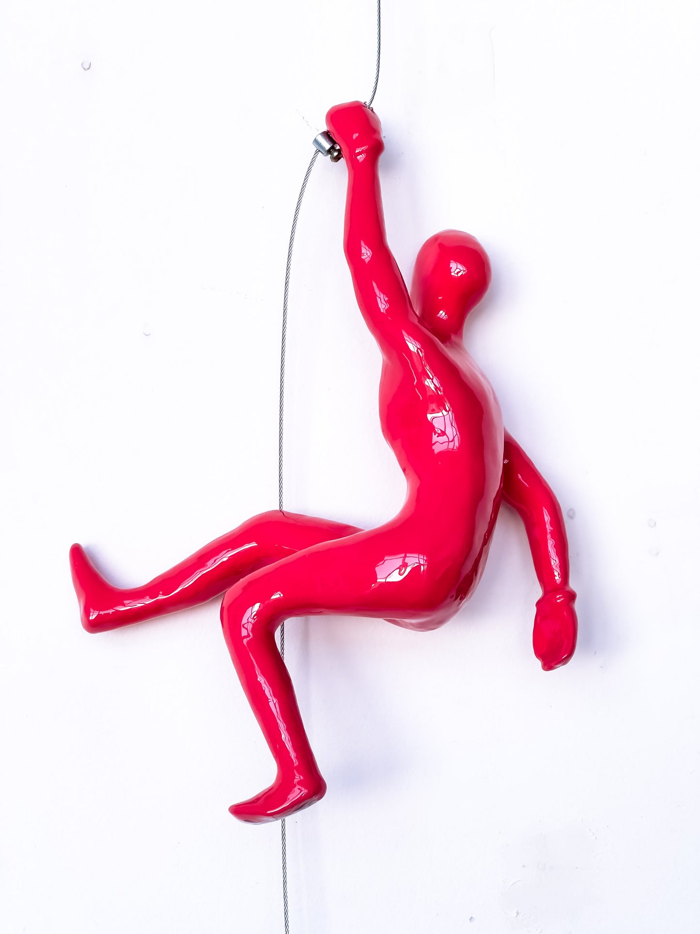 Salmon Climber