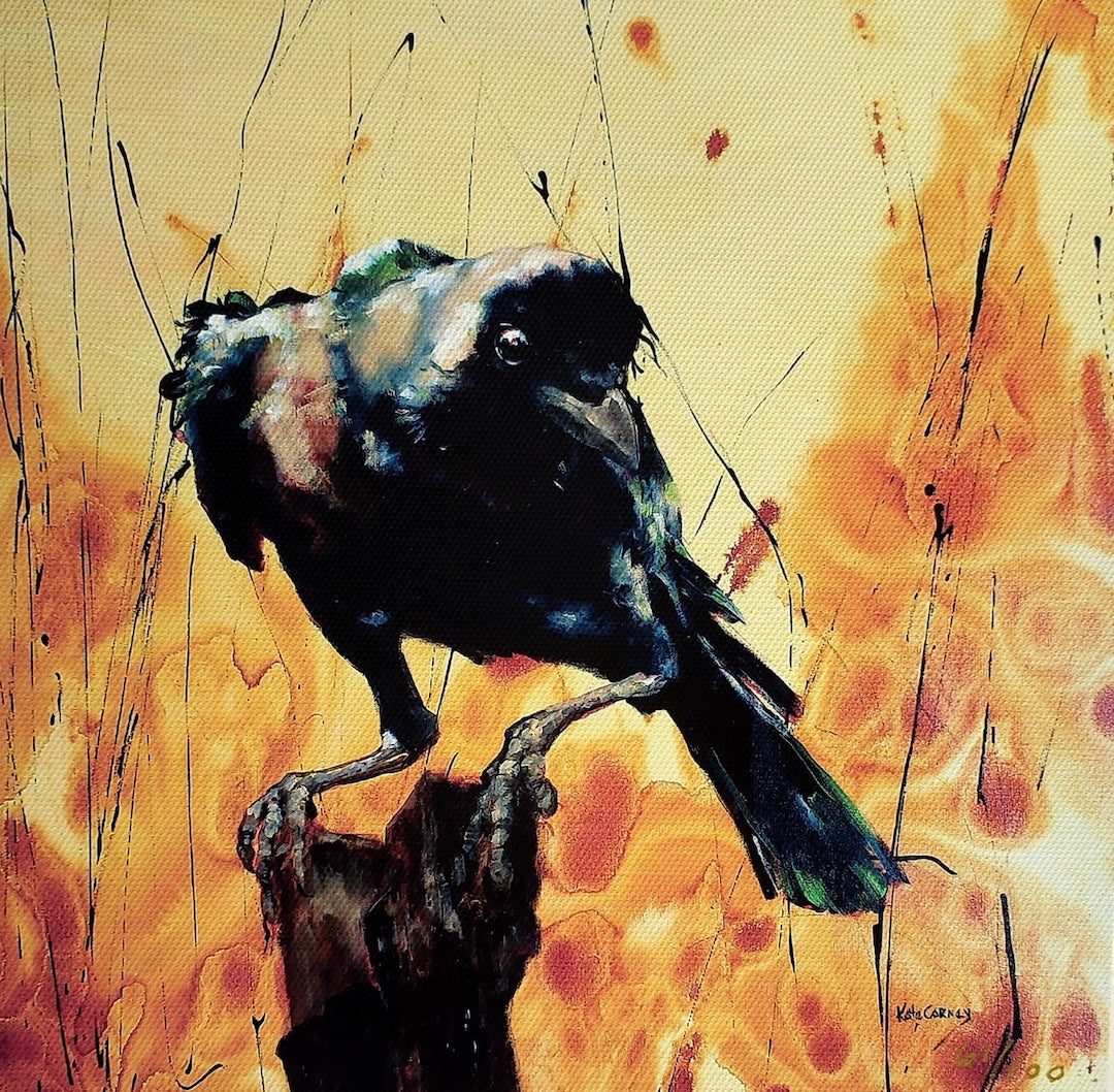 Enormously Interested