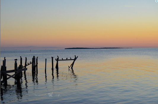 Carolyn's Sunset – Limited Ed. 15/200 on Metal