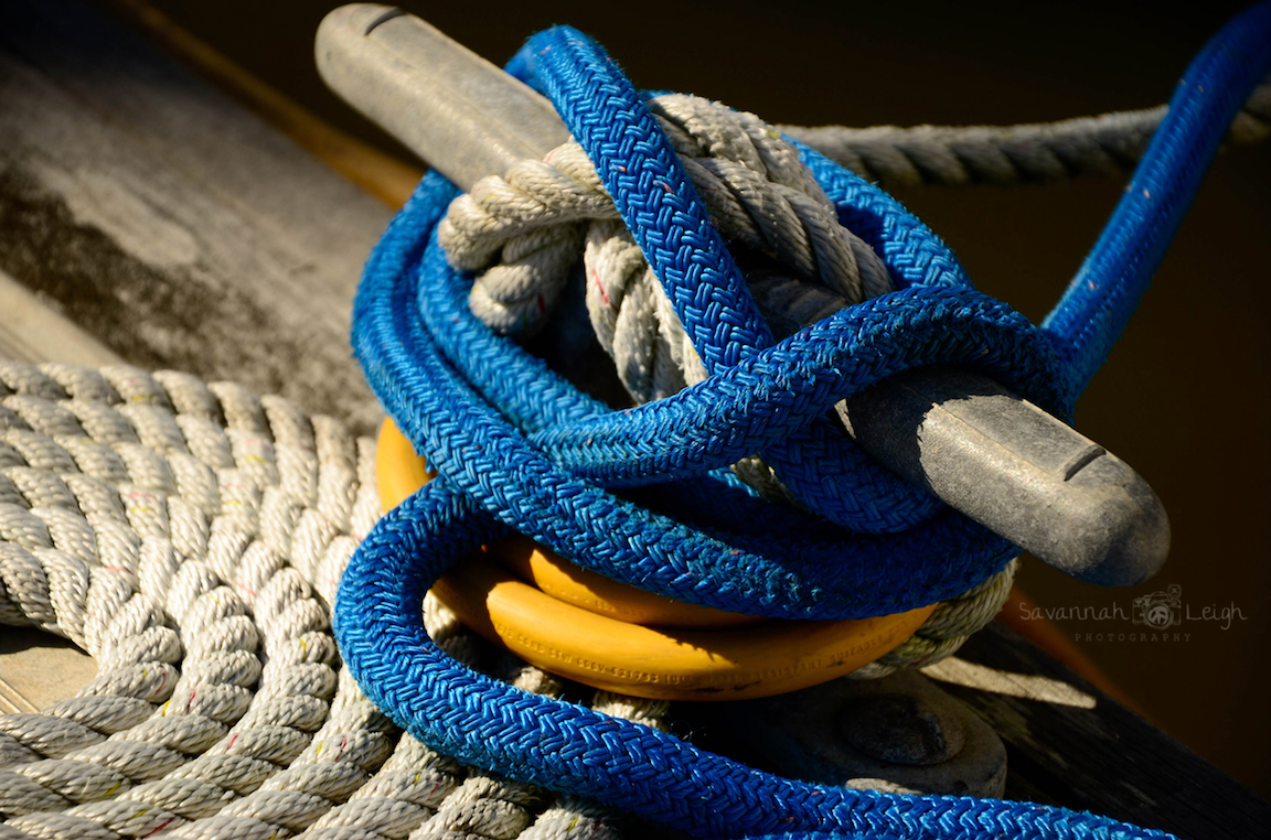 Land Line – Limited Ed. 16/200