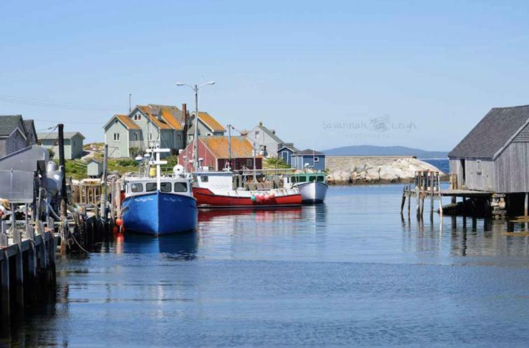 Miss Peggy's Cove – Limited Ed. 11/200