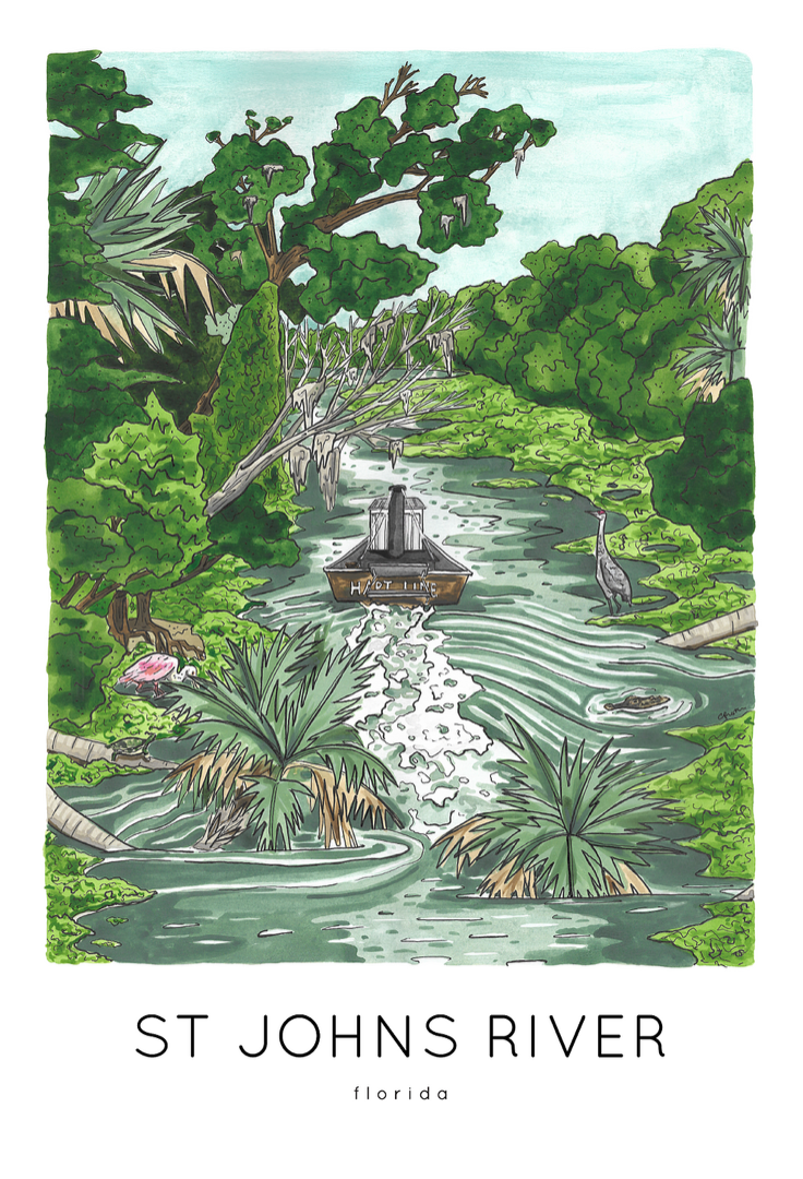 St. Johns River Print
