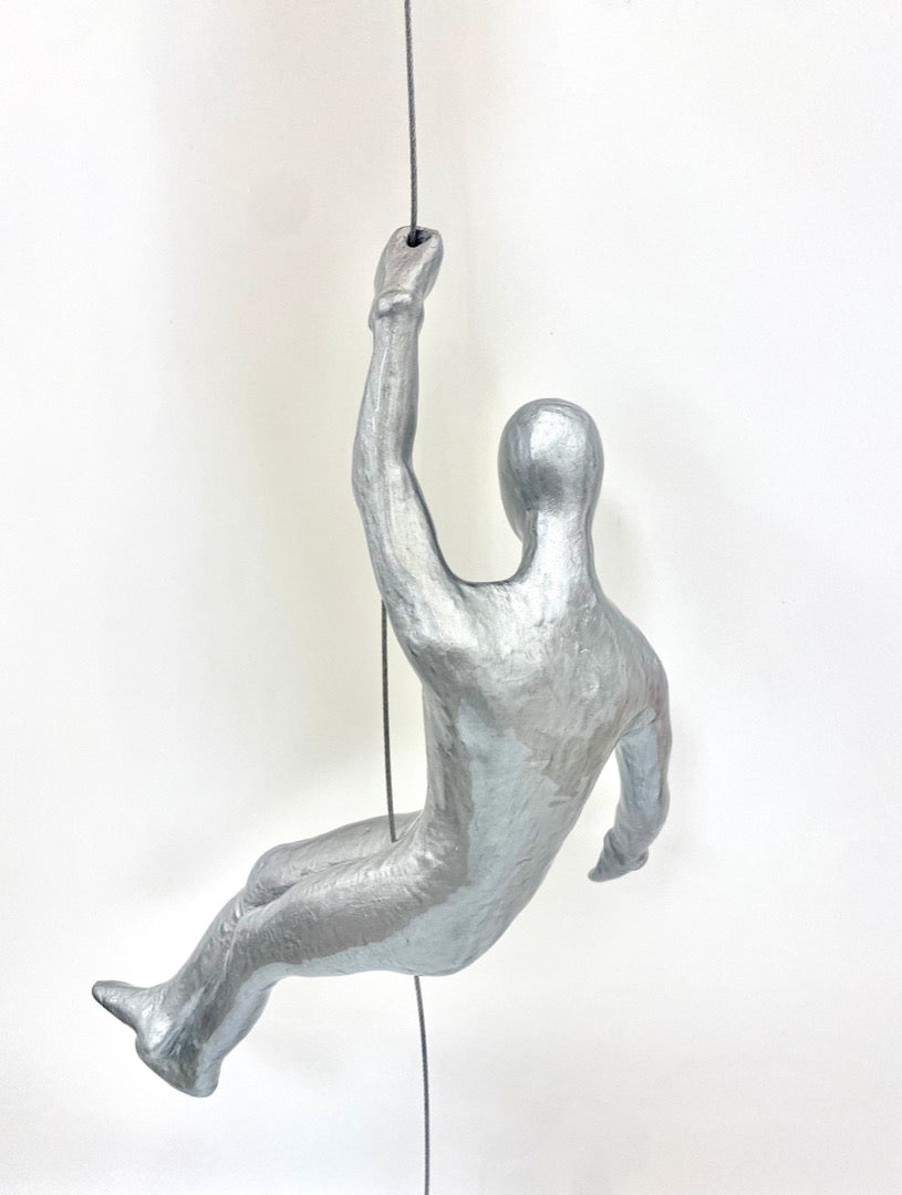 Silver Climber