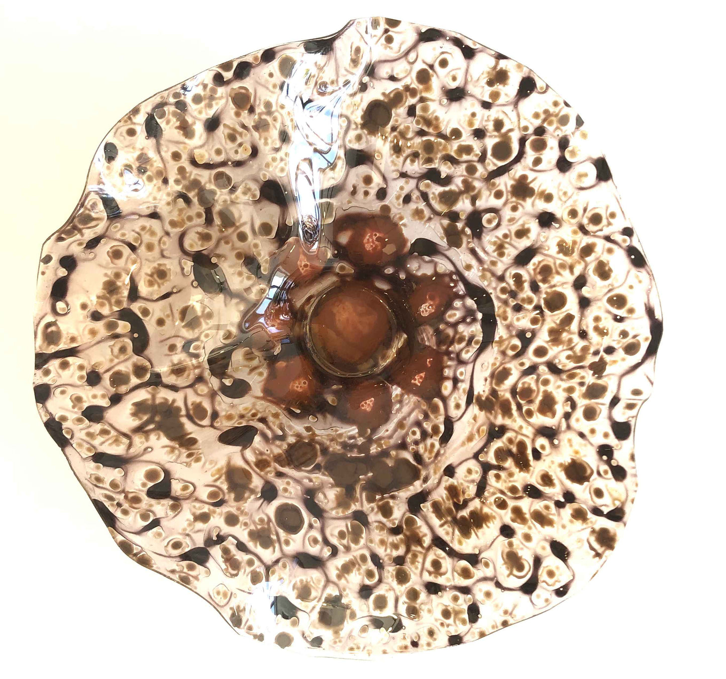 Small Brown Wall Flower