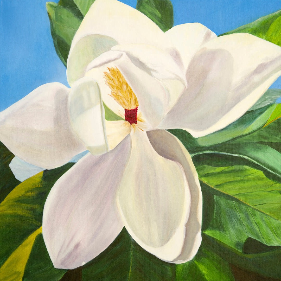 Magnolia