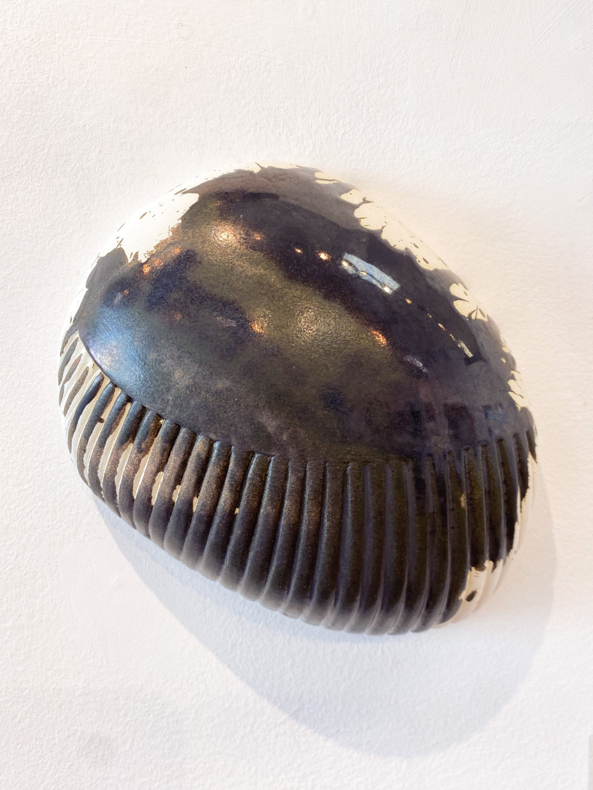 Black and gold shell on a white background