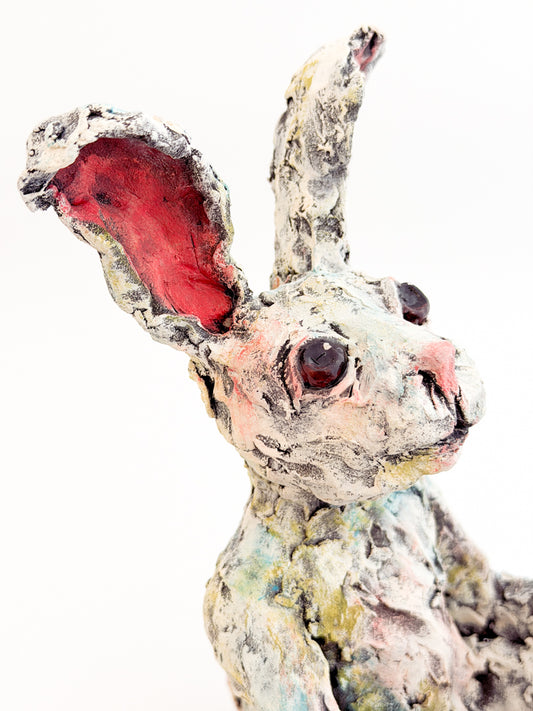 Bashful Bunny