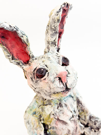 Bashful Bunny