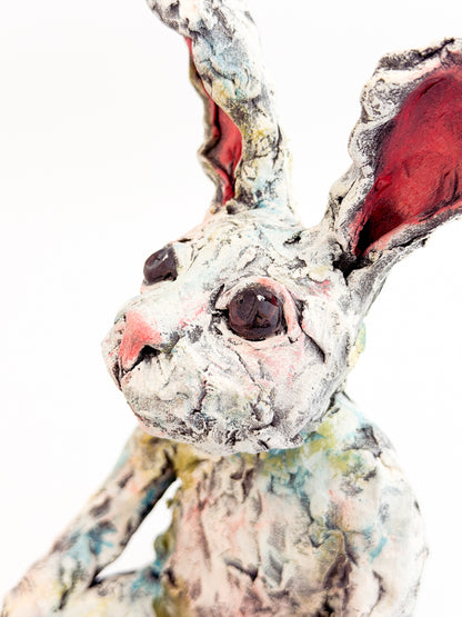 Bashful Bunny