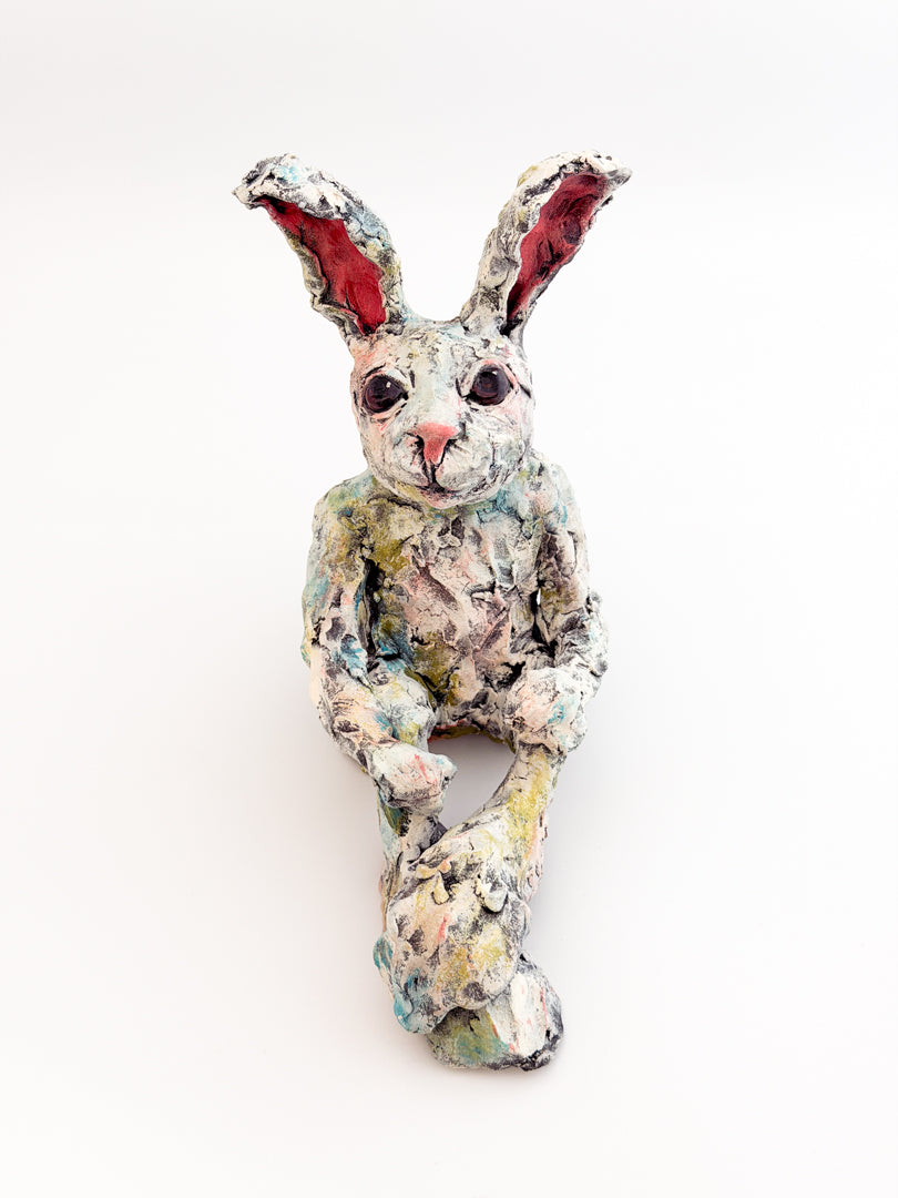 Bashful Bunny