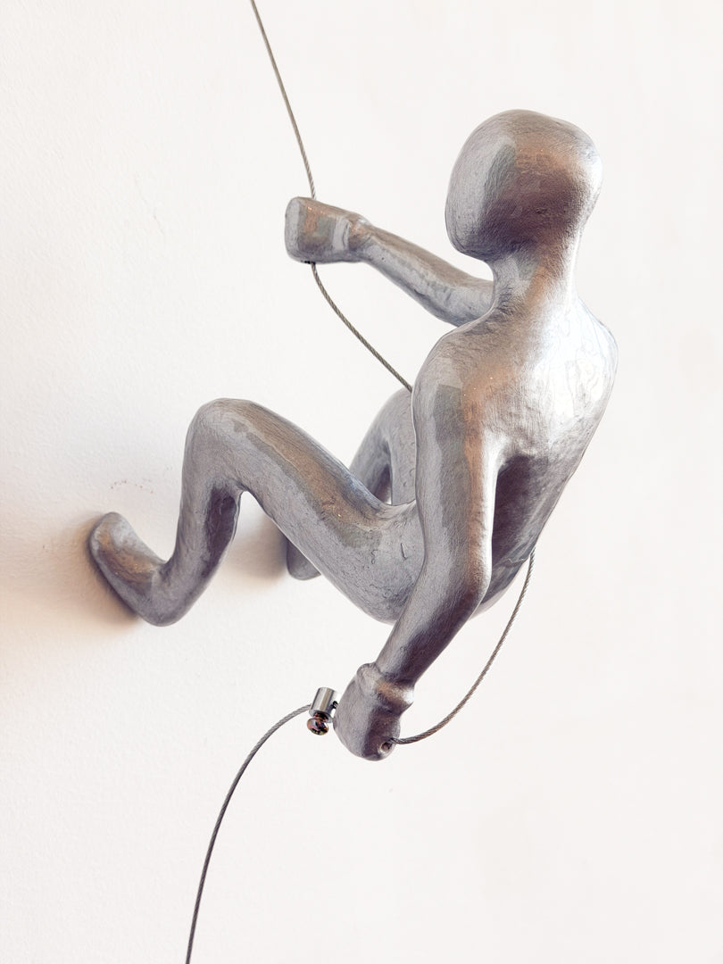 Silver Climber