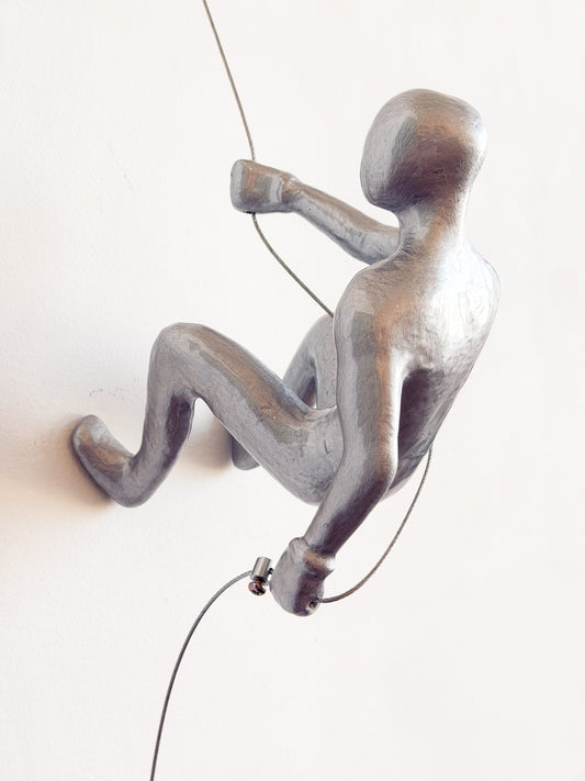 Silver Climber