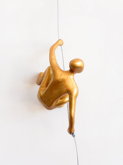 Gold Climber