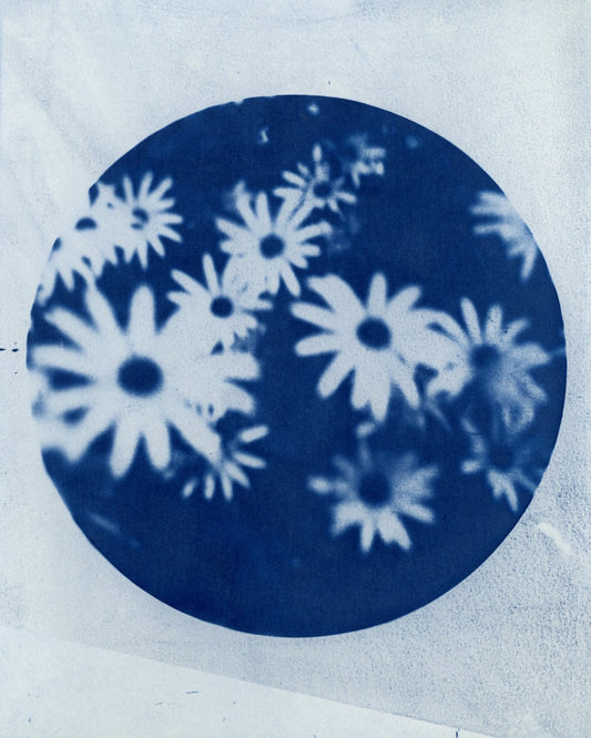 Daisy No.2