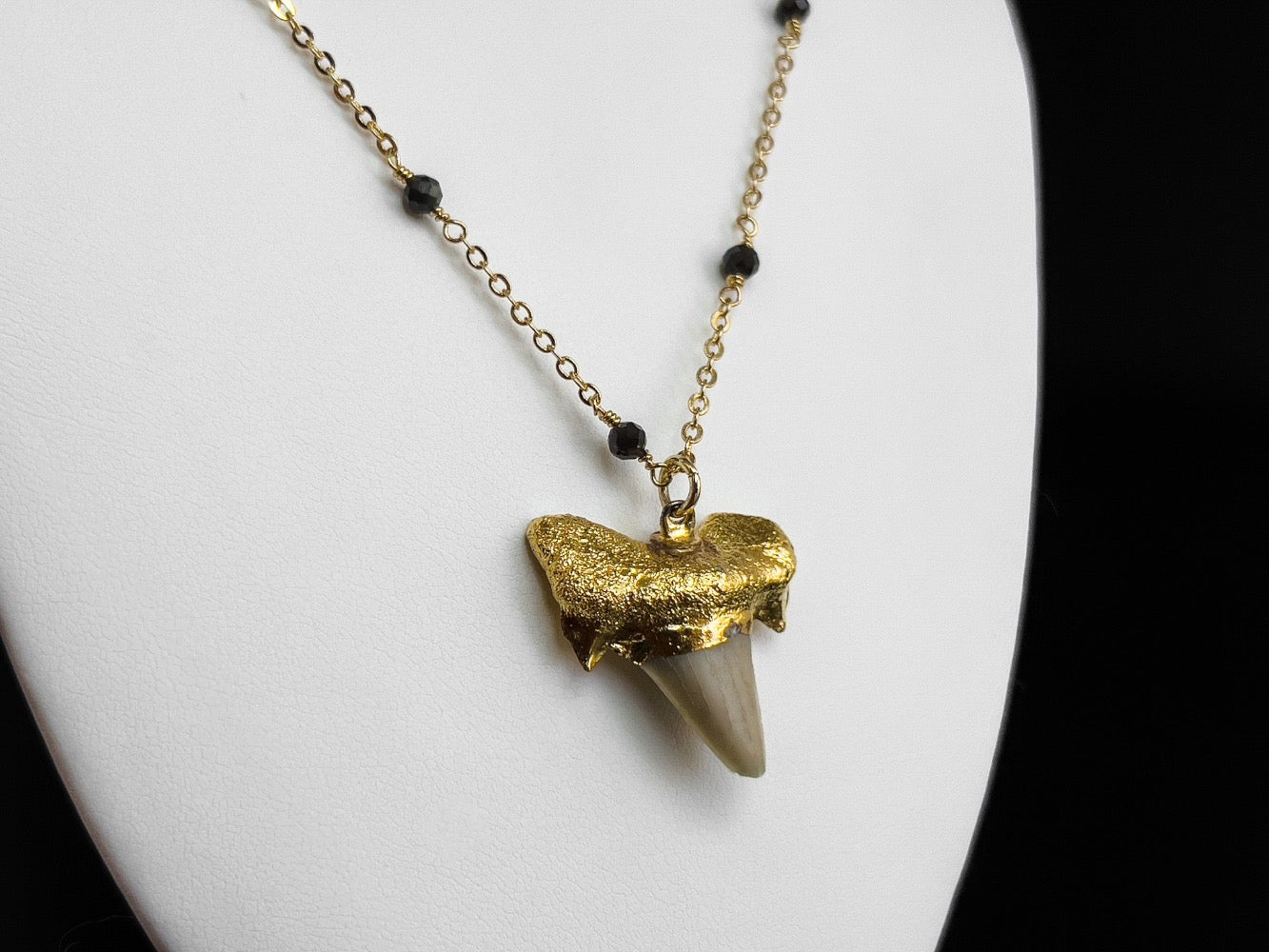 Brown Shark Tooth with Black Spinels