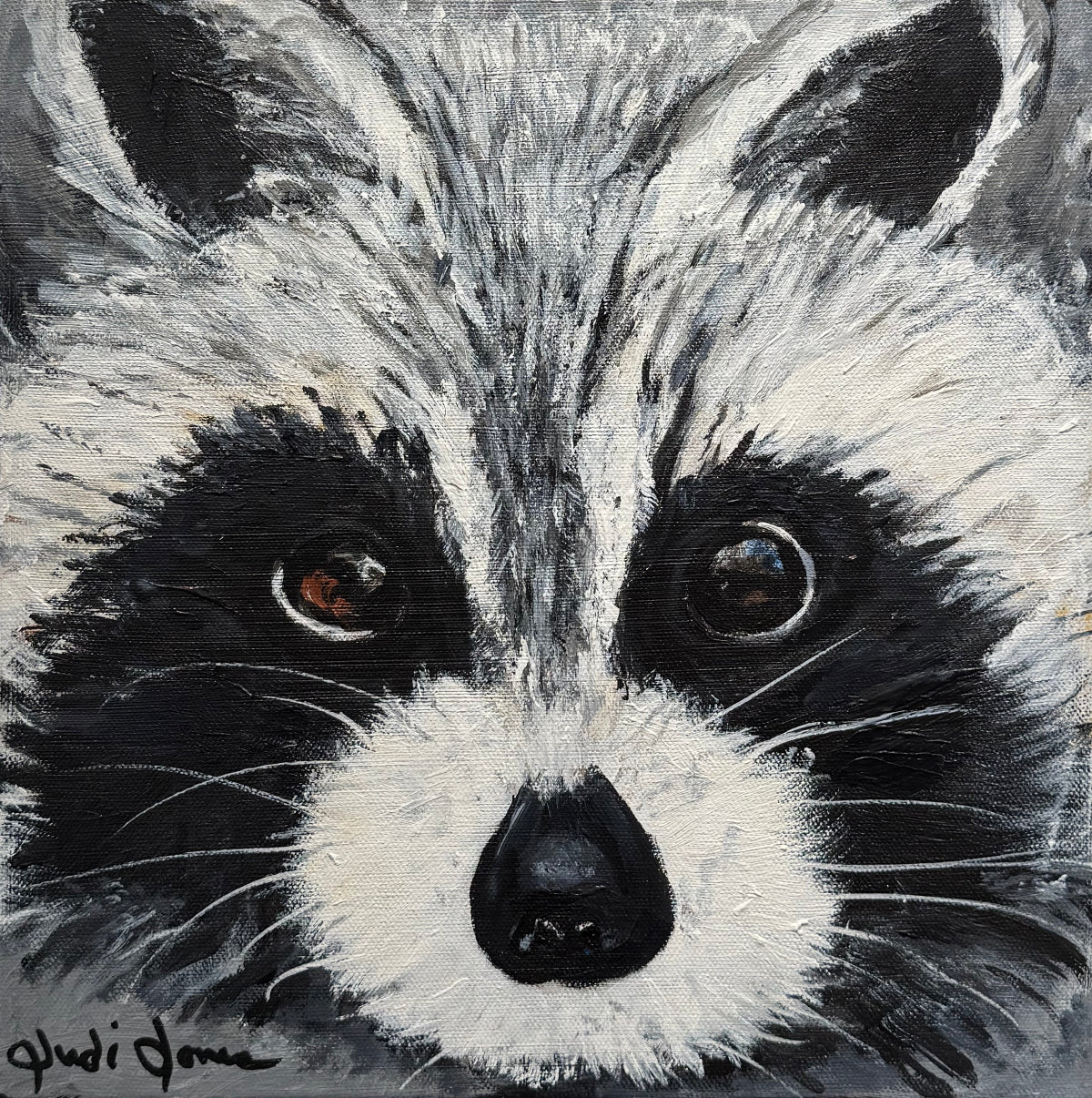 Rocky Raccoons