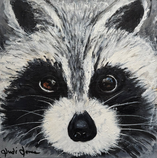 Rocky Raccoons