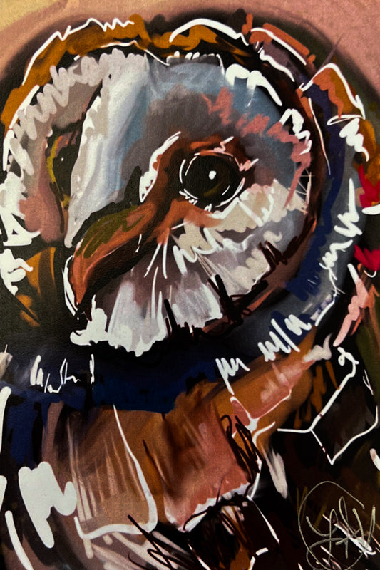 Owl