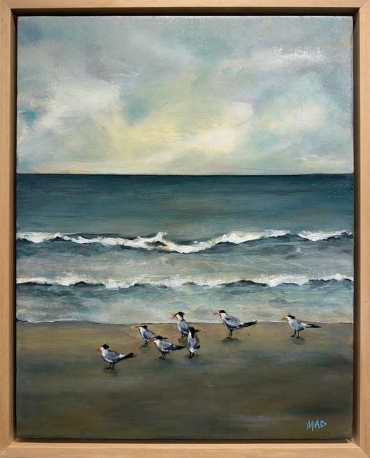 Coastal Companions